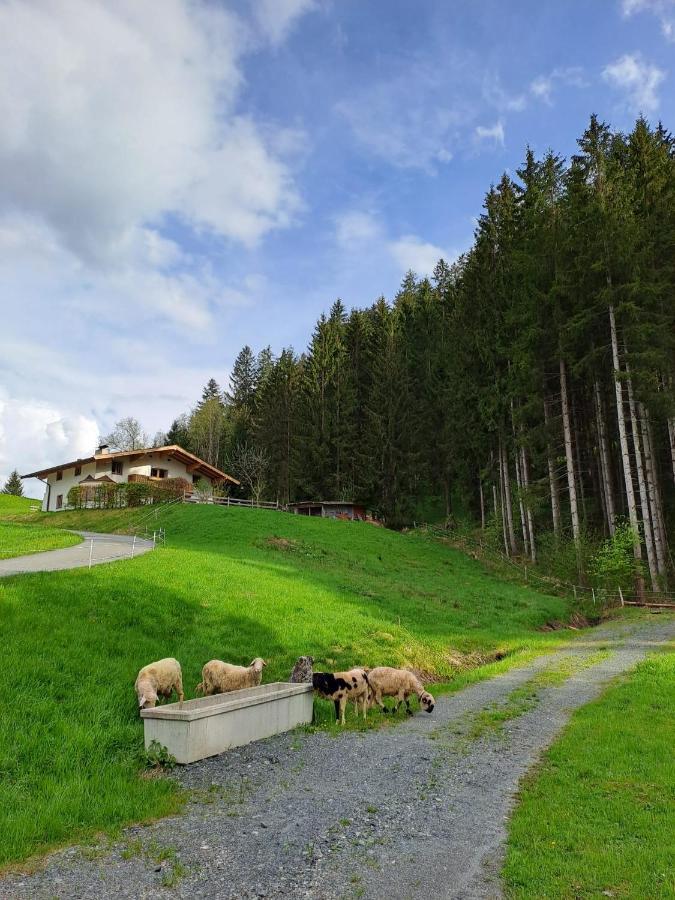 Ferienhaus Hansl Prama Exterior foto
